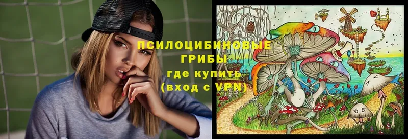 Галлюциногенные грибы мухоморы Мирный